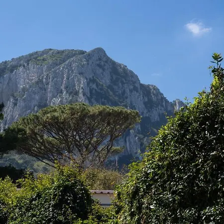 Il Sorriso Di Bri * Capri